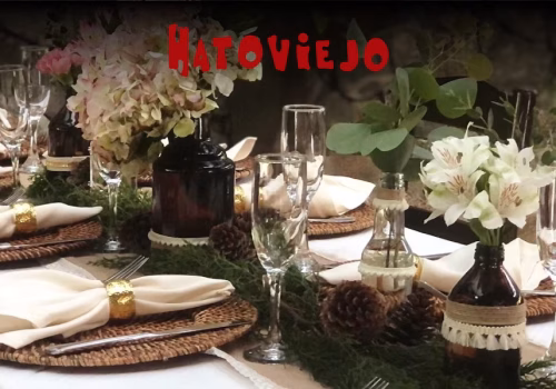 Organiza tu evento con Hatoviejo